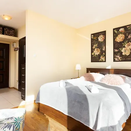 Lejlighed City Center Studio In By Renters