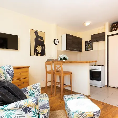 City Center Studio In By Renters